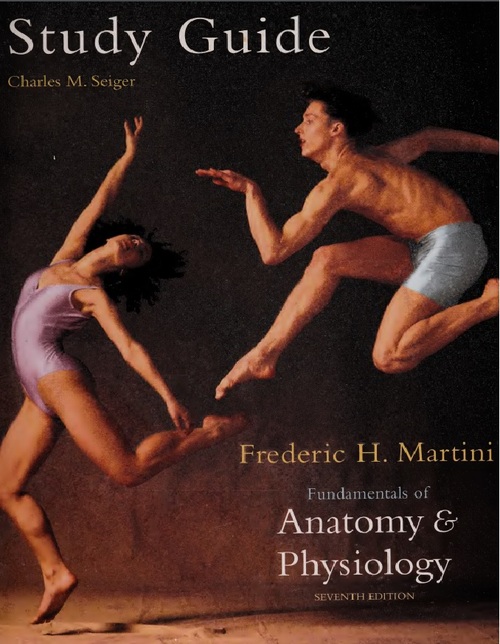 Product picture Anatomy & Physiology. (Study Guide)